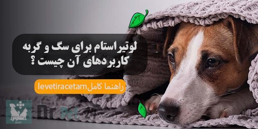 راهنما کامل لوتیراستام در سگ و گربه