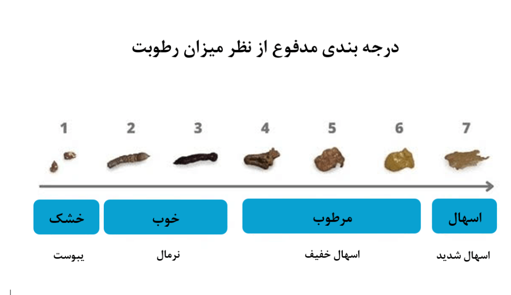 درجه بندی رطوبت مدفوع در گربه - تشخیص اسهال